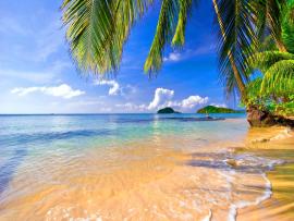 Tropical Holiday Slides Backgrounds