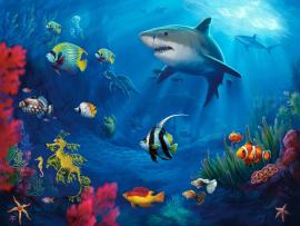 Underwater Colorful Life Frame Backgrounds