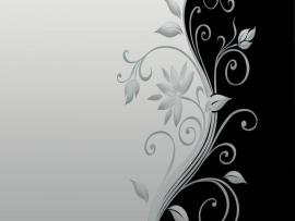 Vector Flower Black and White HD Of Vector  Hdwallpaper2013   Picture Backgrounds