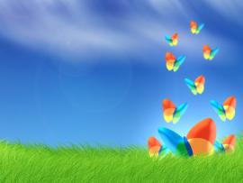 Vista Msn Butterfly Grass  Template Backgrounds