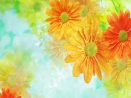 Wallpaper Flower Arts Template Backgrounds