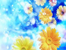 Wallpapers  HD Desktops Free Online Flowers   Art Backgrounds