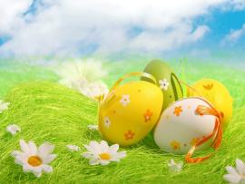 Wallpapers Birdss Sad Poetrys Beautiful Easter Backgrounds