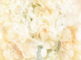 Wedding Design Backgrounds