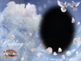 Wedding Pigeon Frame Template Backgrounds