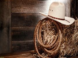 Western Free Cowboy image Backgrounds