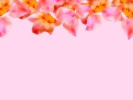White Mothers Day Flowers Graphic Backgrounds