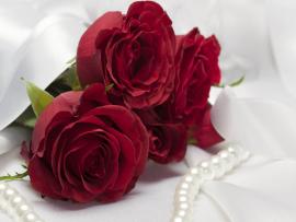 White Red Rose Presentation Backgrounds