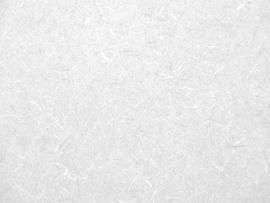 White Texture Pattern Images Presentation Backgrounds