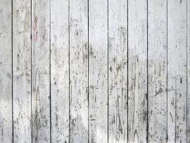 White Washed Wood Photos Picture Backgrounds