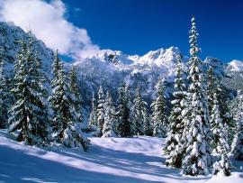 Winter Hd Winter Hd Winter Hd Winter Hd   image Backgrounds