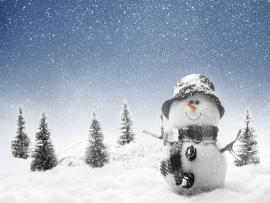 Winter Snowmans Pictures Photos Images Picture Backgrounds