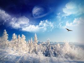 Winter Template Backgrounds