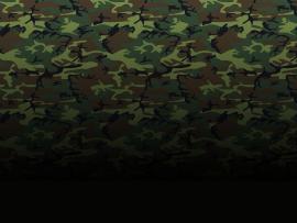 Woodland Camo Presentation Backgrounds