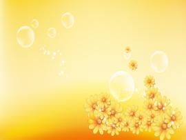 Yellow Flower  Rose Pictures image Backgrounds