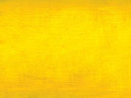 Yellow Grunge Slides Backgrounds