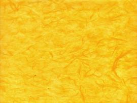 Yellow Texture Image Frame Backgrounds