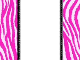 Zebra  Cliparts  Download Backgrounds