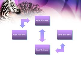 Zebra In Sunset Free PowerPoint Template  00845   Wallpaper Backgrounds
