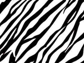 Zebra Print  Free Images At Clker   Vector Clip Art   Download Backgrounds