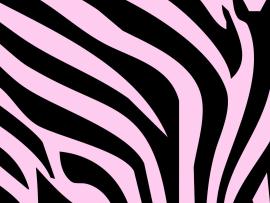 Zebra Prints Light Pink  HD Desktops Clip Art Backgrounds