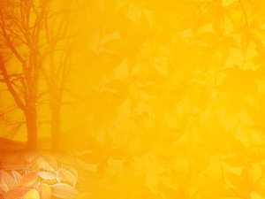 Autumn Download PPT Backgrounds