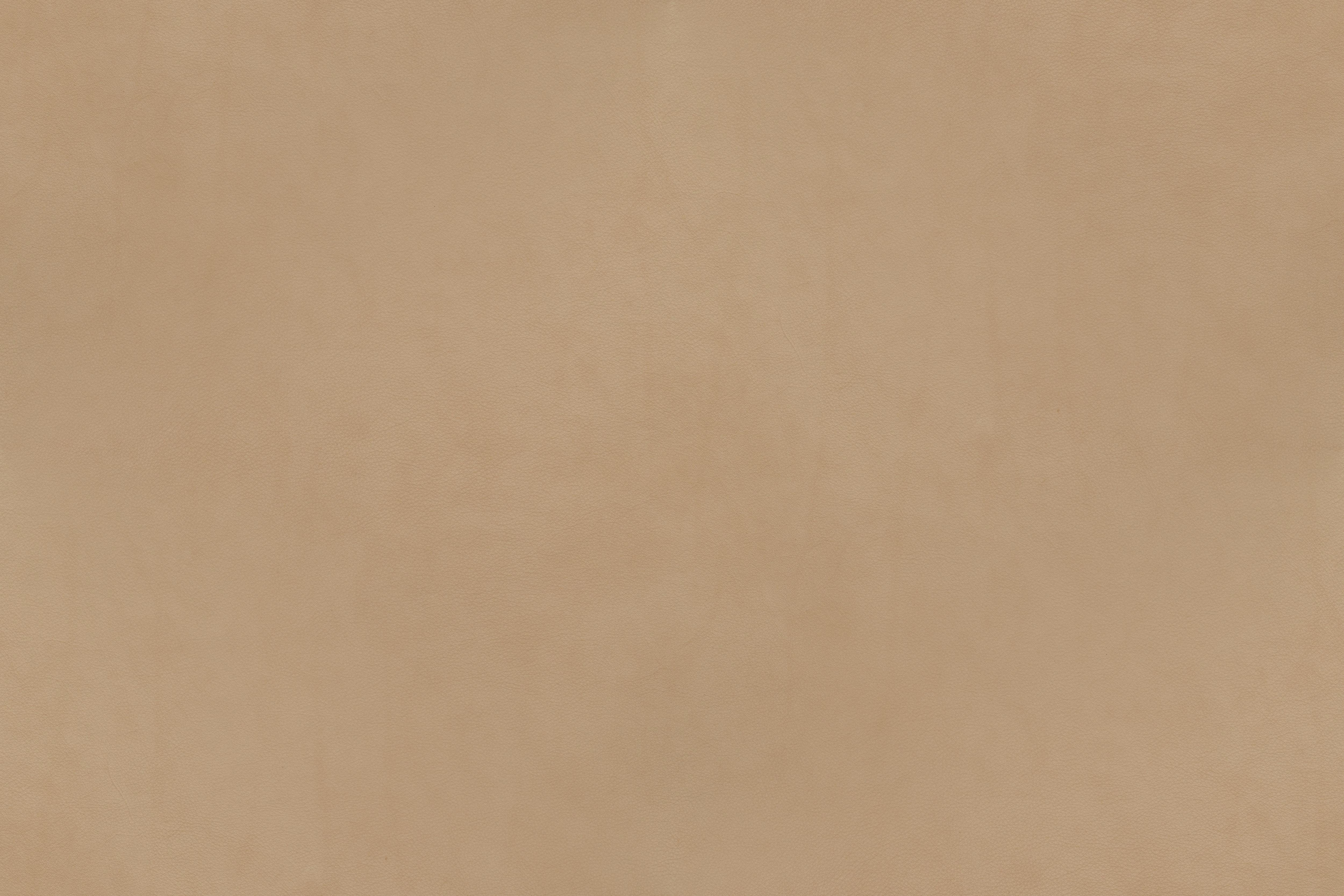 Beige Textured   Viewing  Template PPT Backgrounds