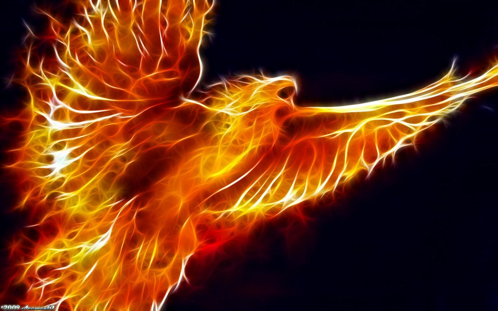 Fire Bird Photo Fire Bird Photo PPT Backgrounds