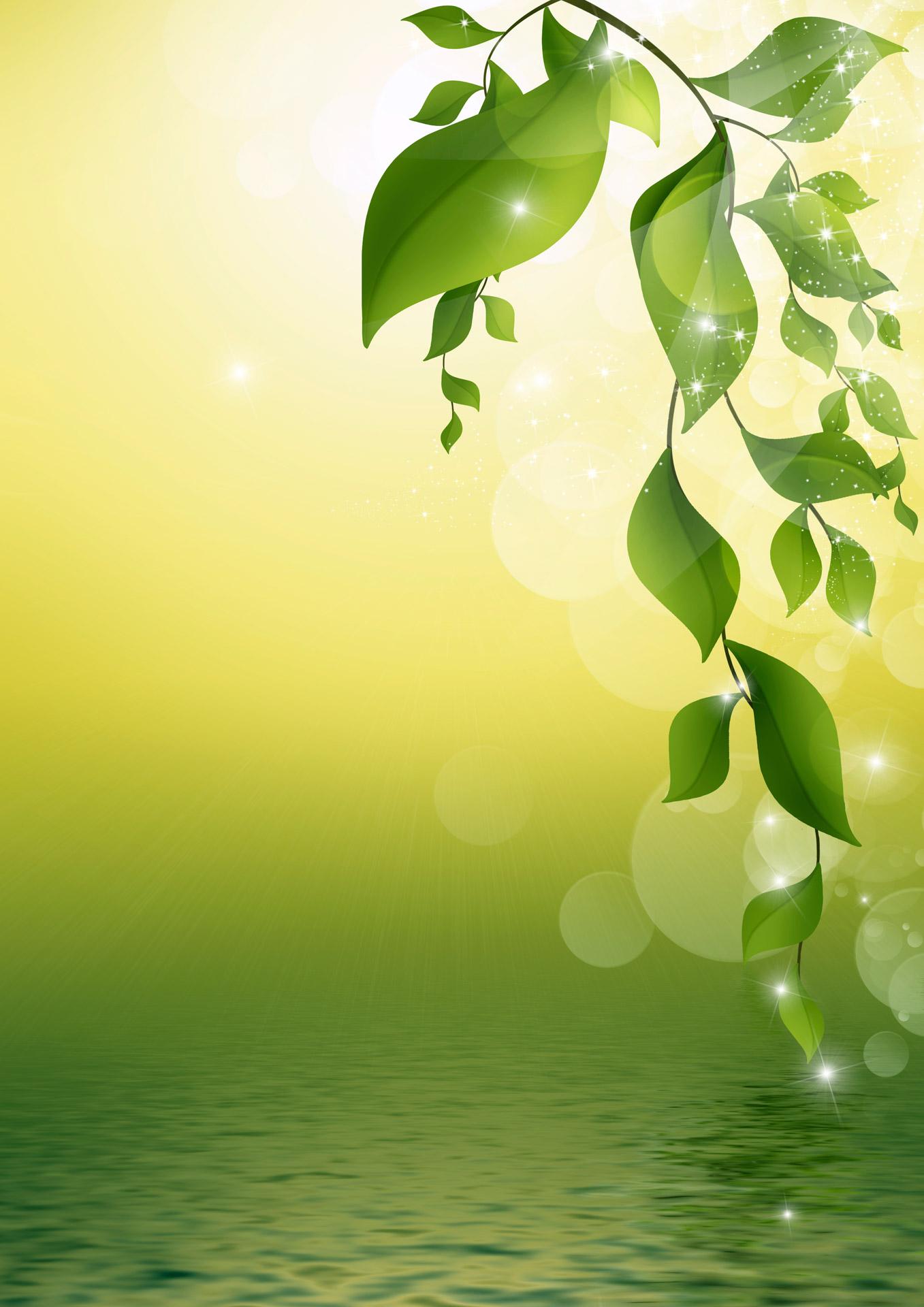 Leaves Frame Leaves Frame PPT Backgrounds
