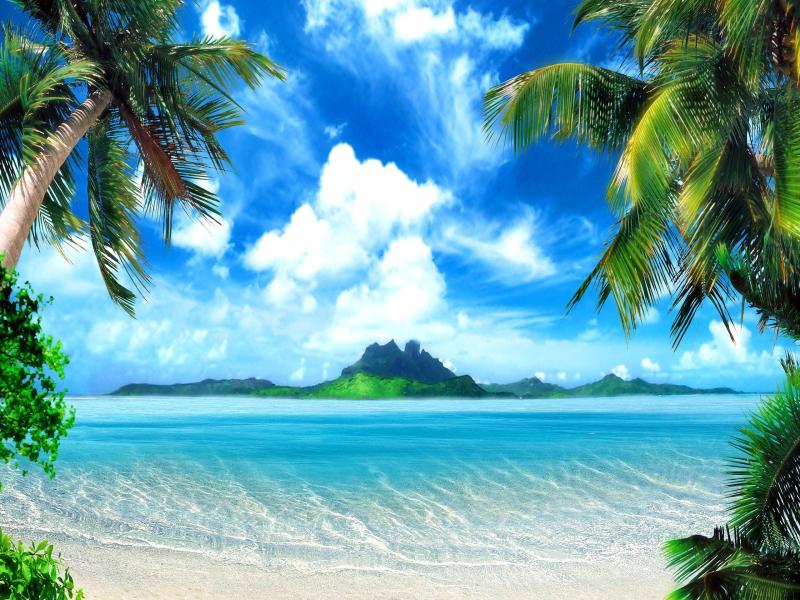  The Above Is Tropical Beach   Backgrounds
