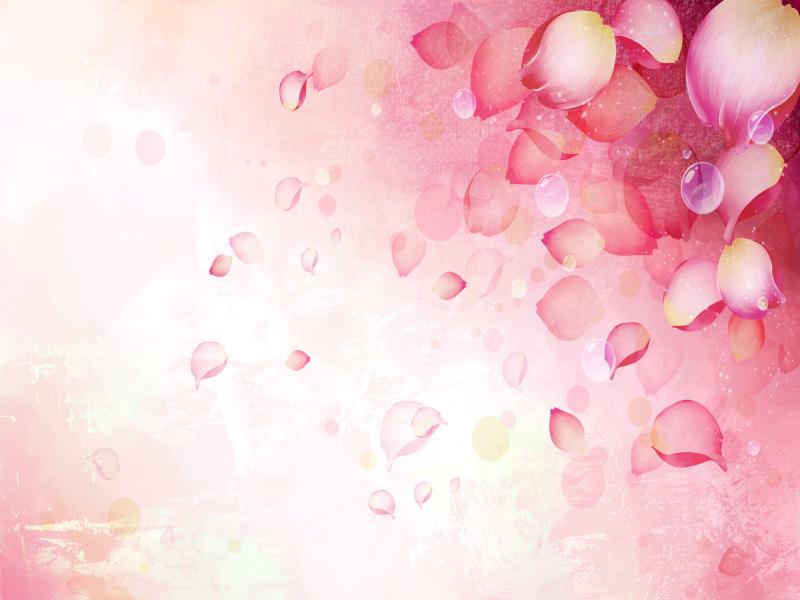 Abstract Pink Flower For PowerPoint Templates Continue   Picture Backgrounds