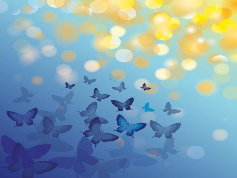 Animal Butterfly Blue   Animals Blue Design  Clip Art Backgrounds