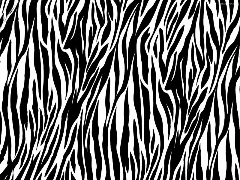 Animal Print Animal Print Jungle Leopard Slides Backgrounds
