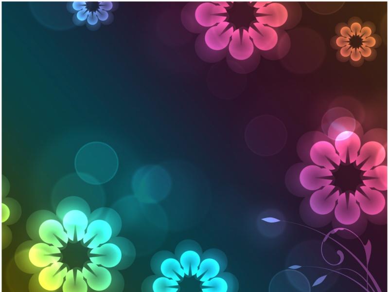 Animated Flower Frame Backgrounds