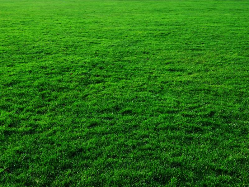 Animated Grass If You Need Grass Download Backgrounds