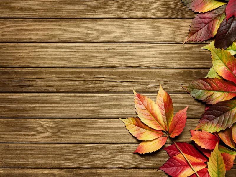 Autumn Art Autumn Top Autumn   Template Backgrounds