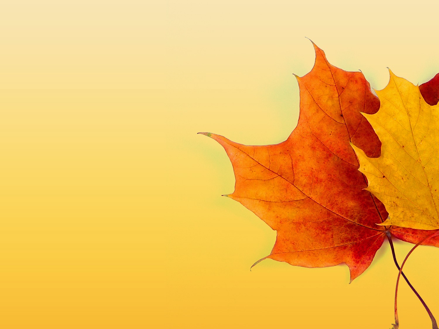 Autumn Frame Backgrounds for Powerpoint Templates - PPT Backgrounds With Regard To Free Fall Powerpoint Templates