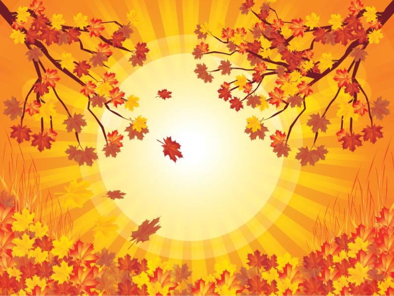 Autumn image Backgrounds