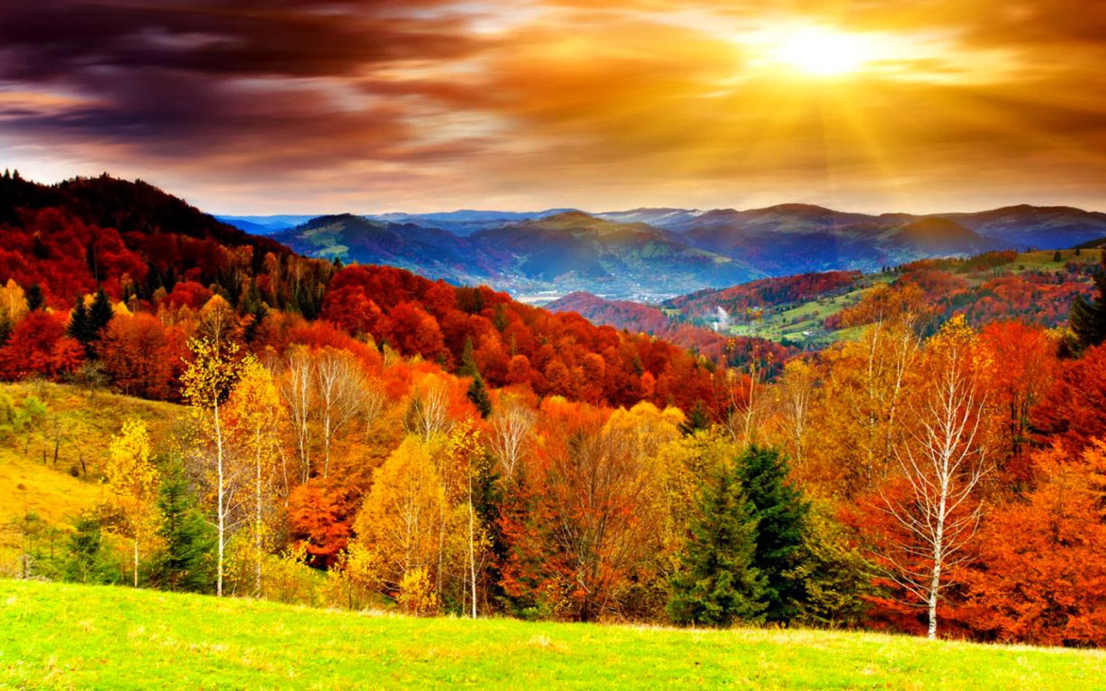 Autumn Scenery Picture HD