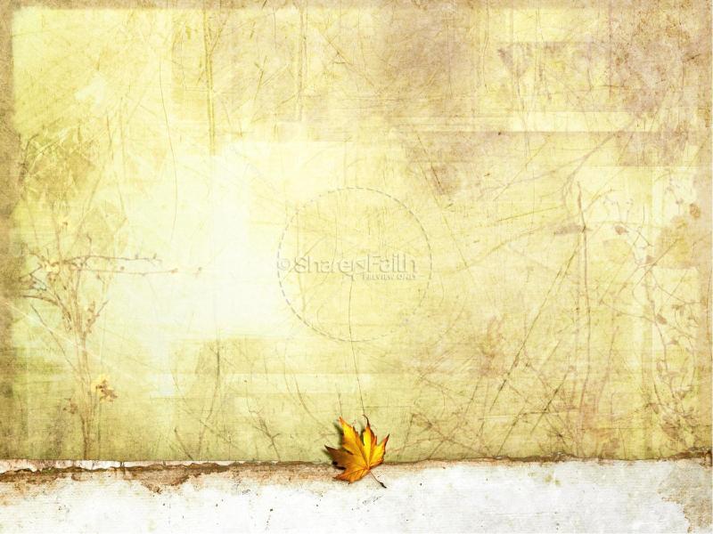 Autumn Template Backgrounds