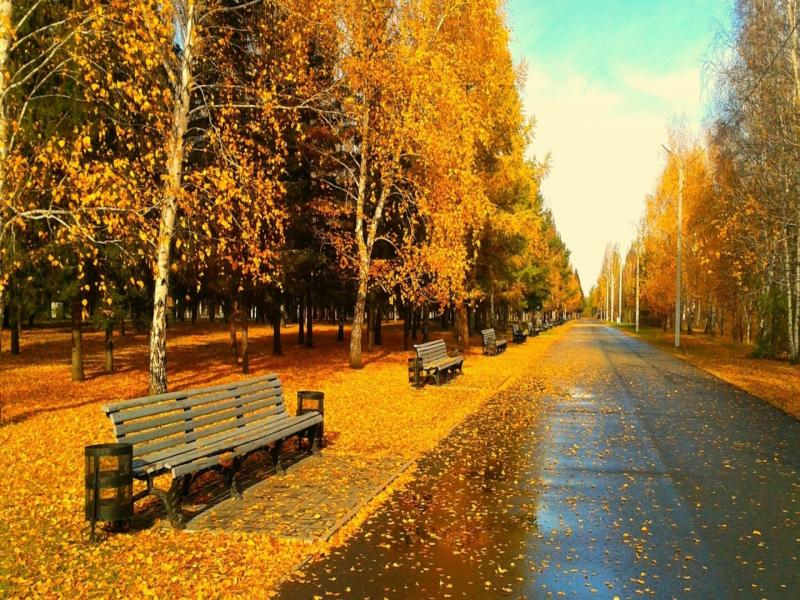 Autumns  Bests image Backgrounds