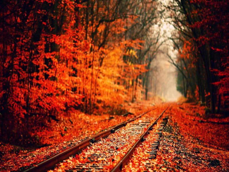Autumns  Bests Photo Backgrounds