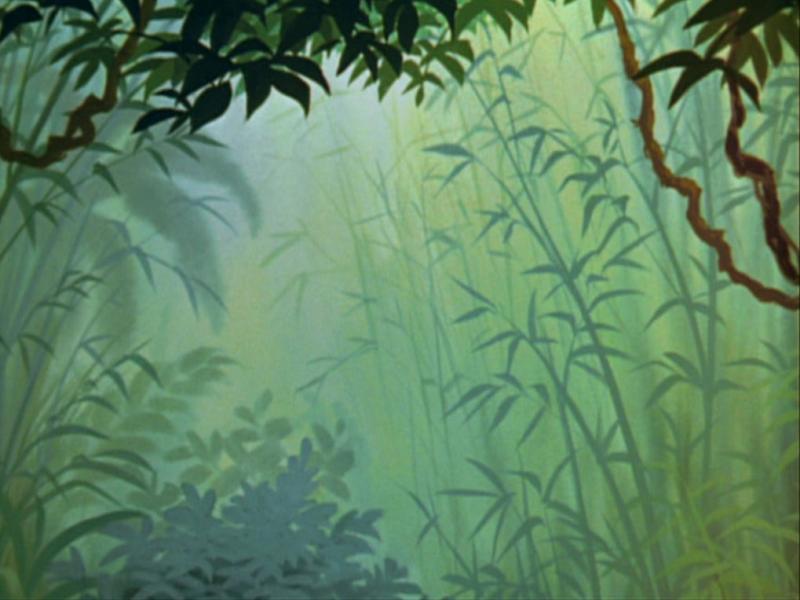 Backdrop Jungle Template Backgrounds