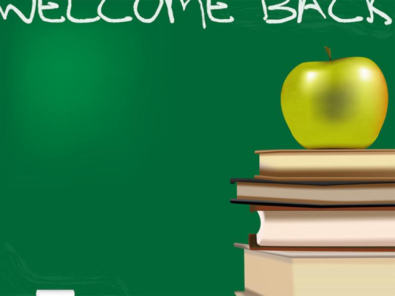 Background School Free Back To School Art Backgrounds