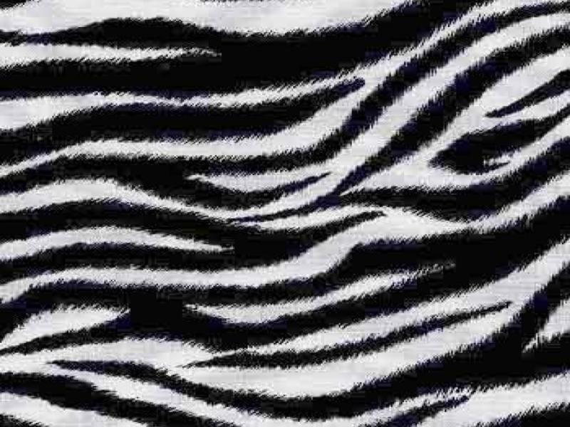 Background Zebra  Imagui Design Backgrounds