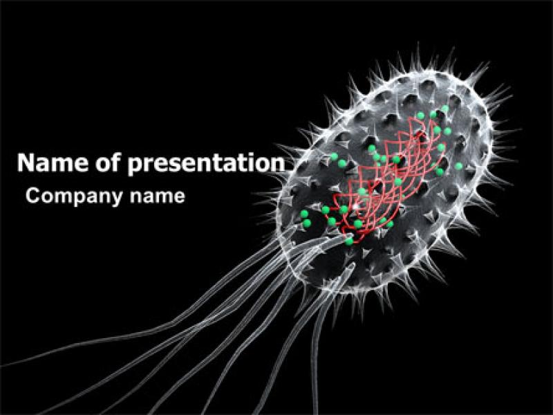 Bacteria Cell PowerPoint Template  03573   Slides Backgrounds