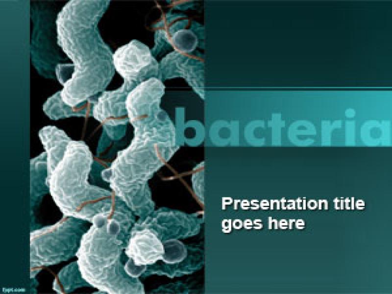 Bacteria PowerPoint Template Quality Backgrounds
