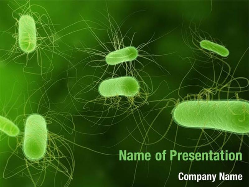 Bacteria PowerPoint Templates  Bacteria PowerPoint   Wallpaper Backgrounds