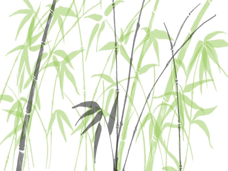 Bamboo Clipart Backgrounds