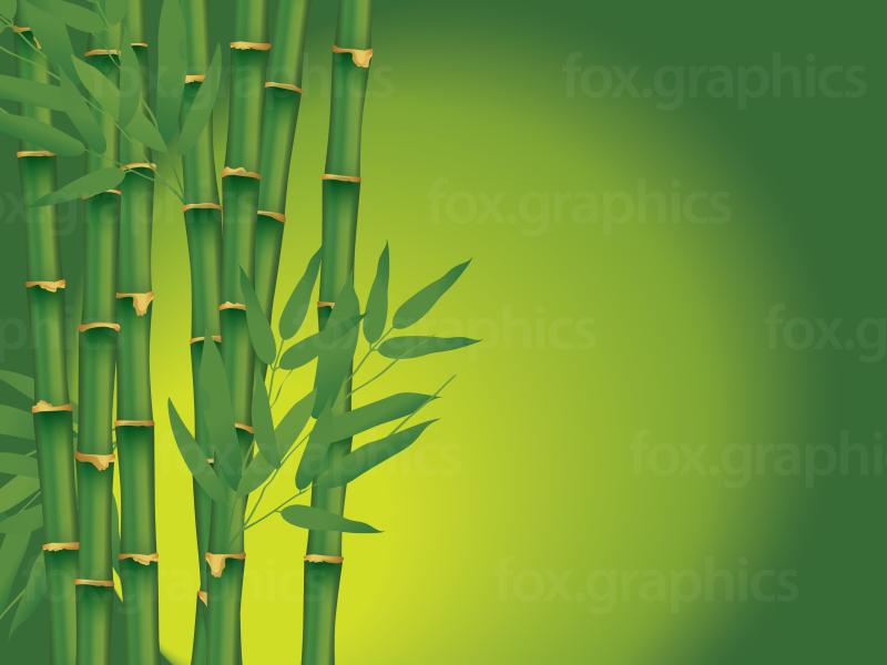 Bamboo Frame Backgrounds
